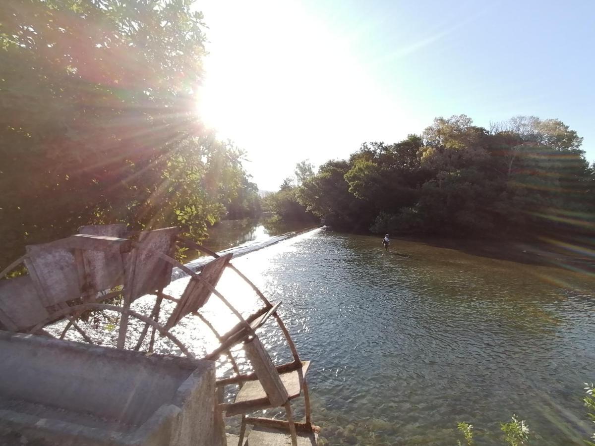 Gite Les Demoiselles Des Sorgues L'Isle-sur-la-Sorgue Bagian luar foto