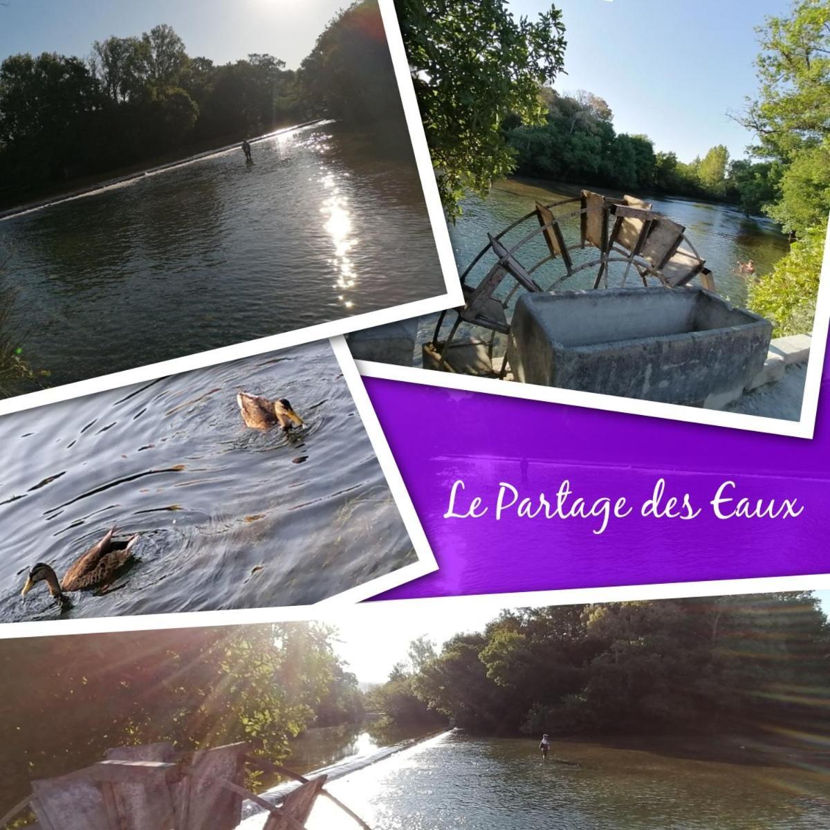 Gite Les Demoiselles Des Sorgues L'Isle-sur-la-Sorgue Bagian luar foto